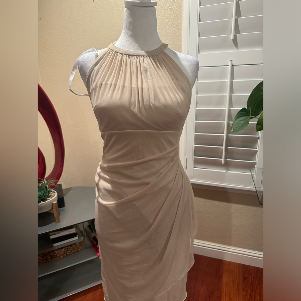 David’s Bridal Champagne Dress